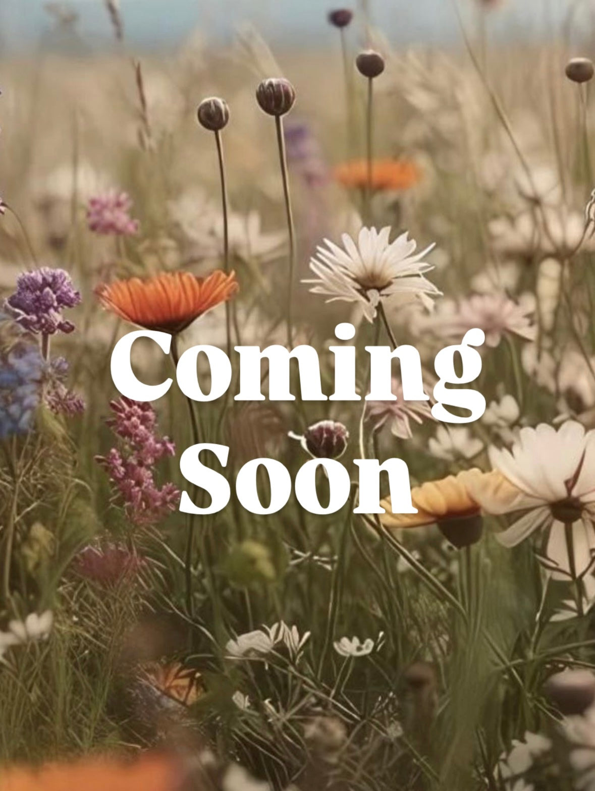 Red Denim Jacket Size M