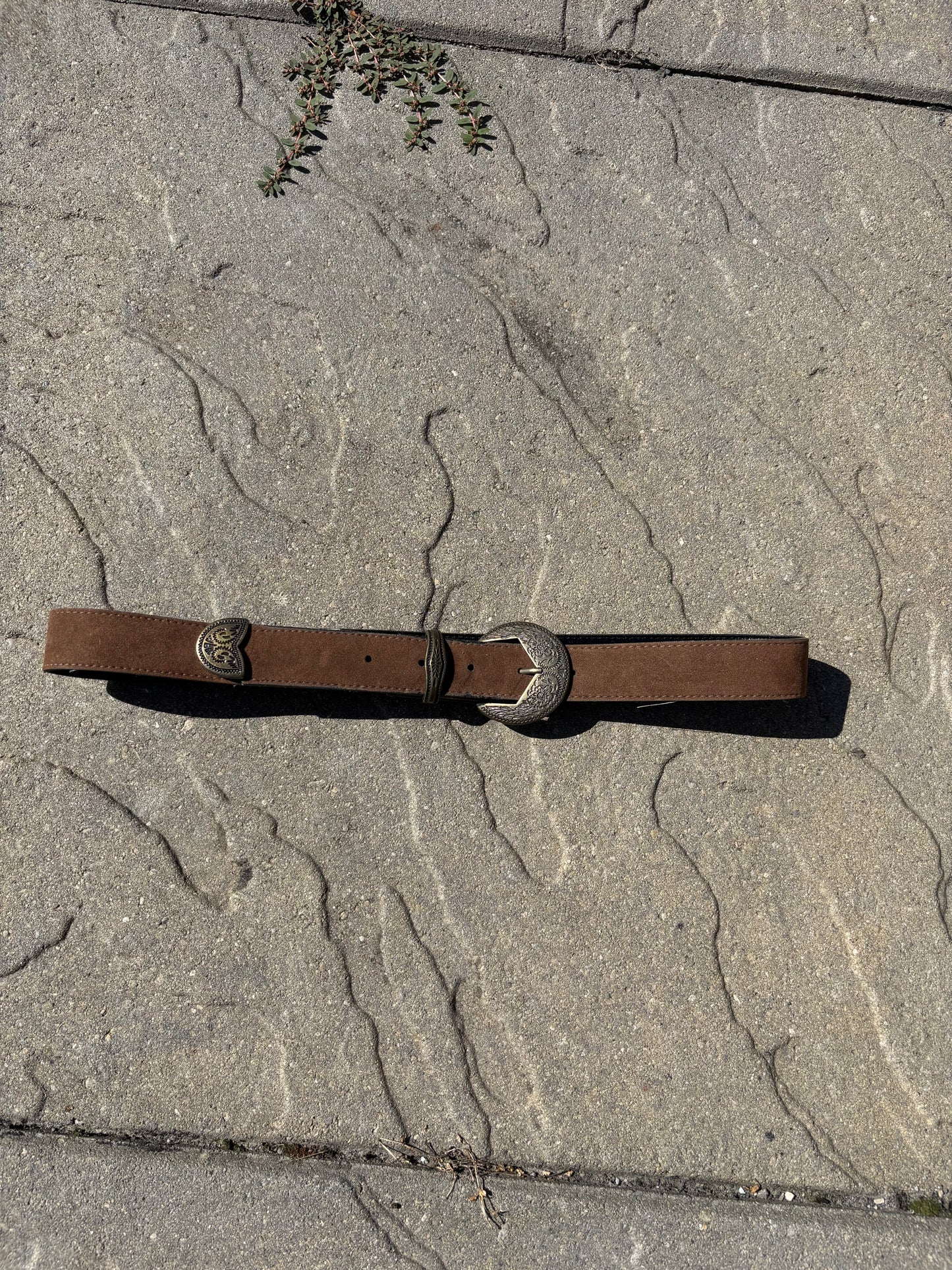 Brown Western Belt