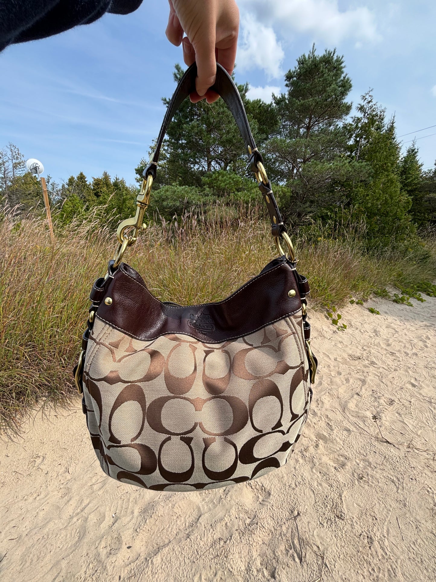 Coach Zoe Signature Large Hobo Bag