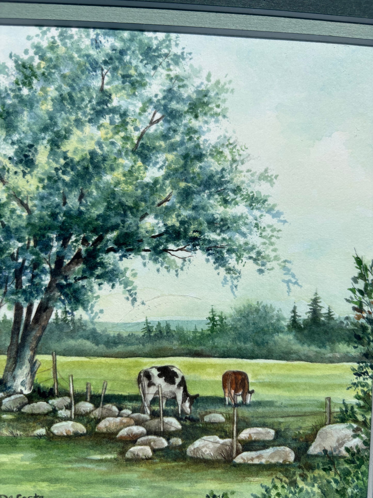 Framed Cow Picture
