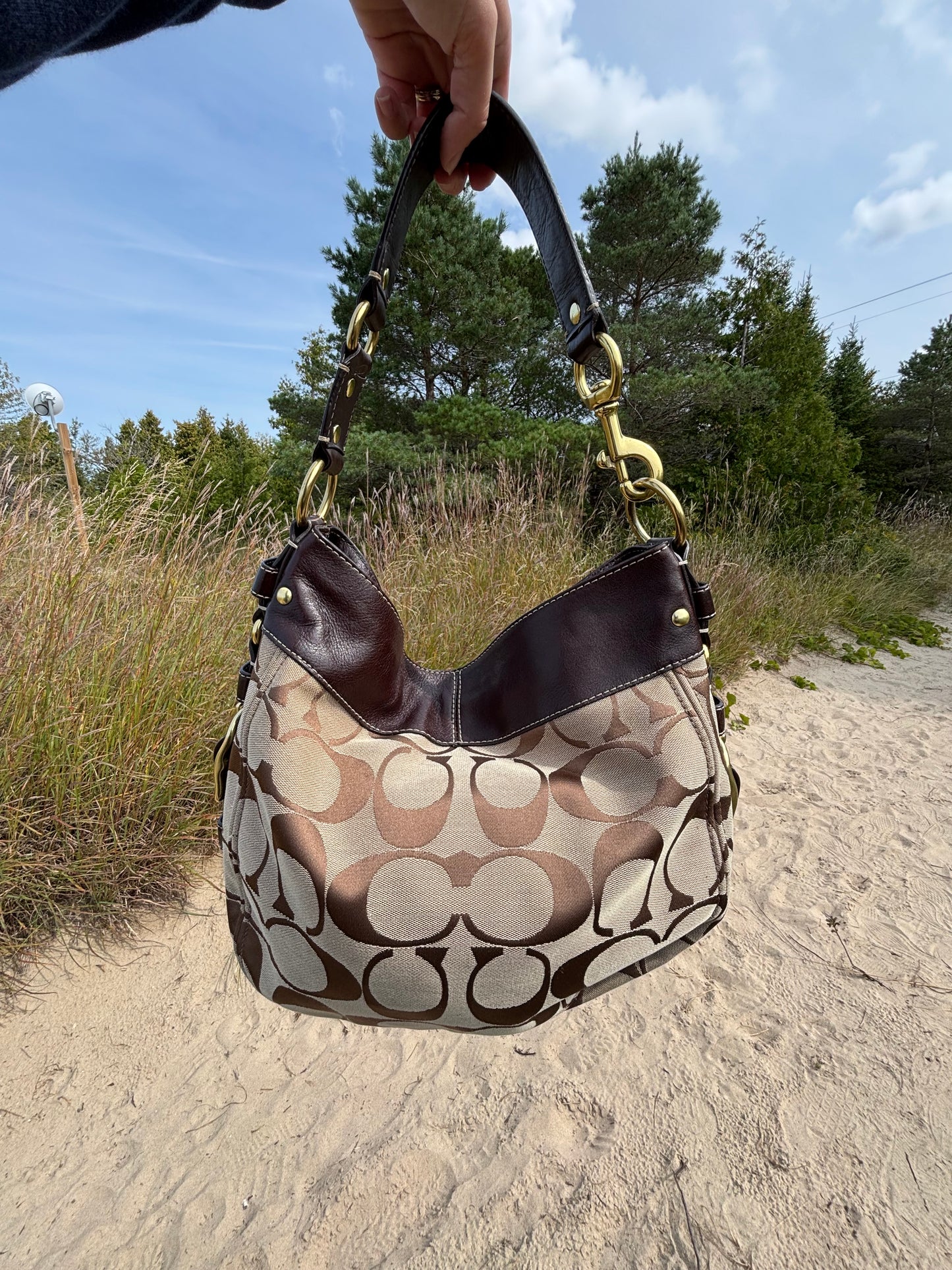 Coach Zoe Signature Large Hobo Bag