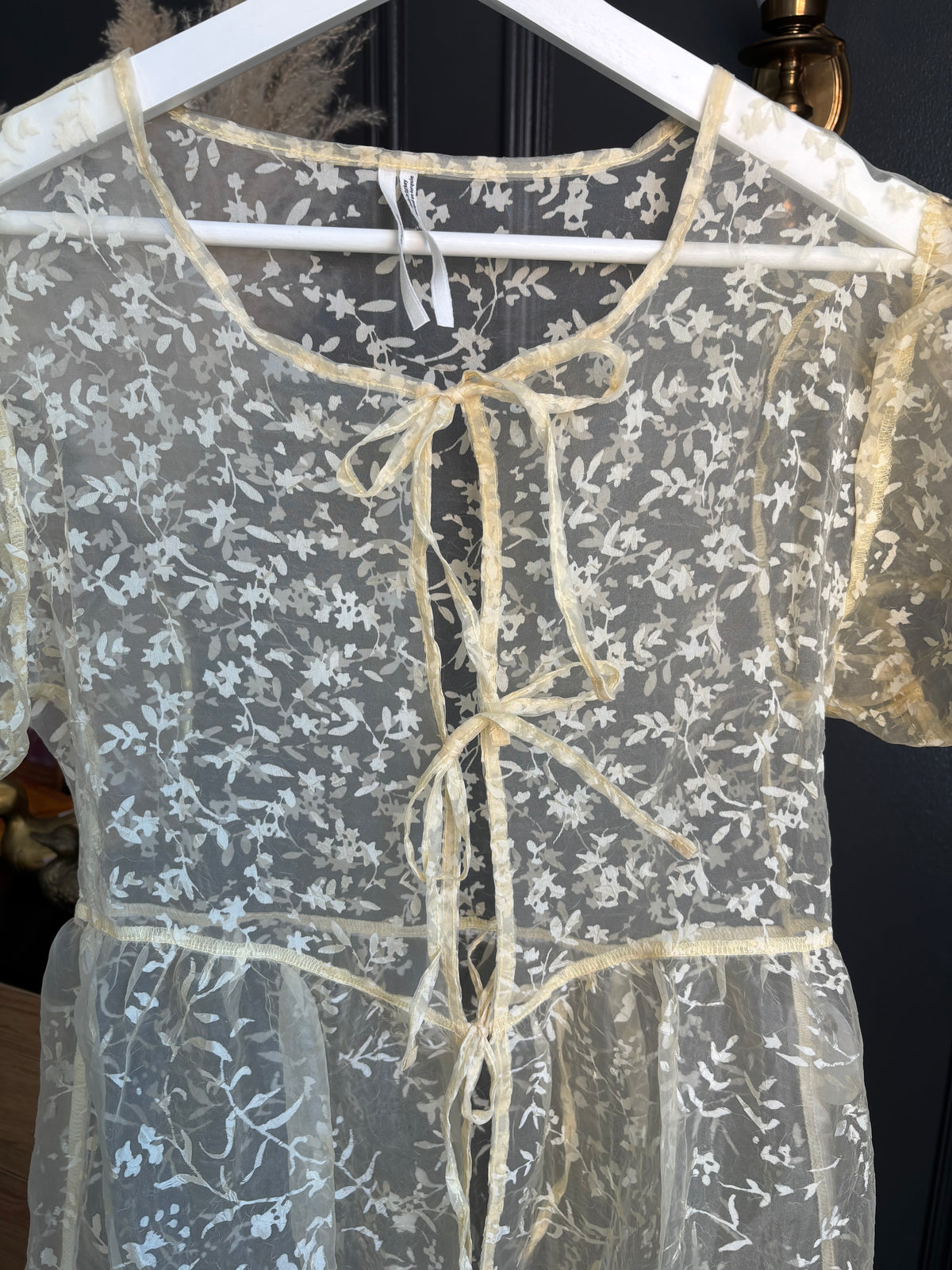 Sheer Anthropology Tie Front Dress Size XXS
