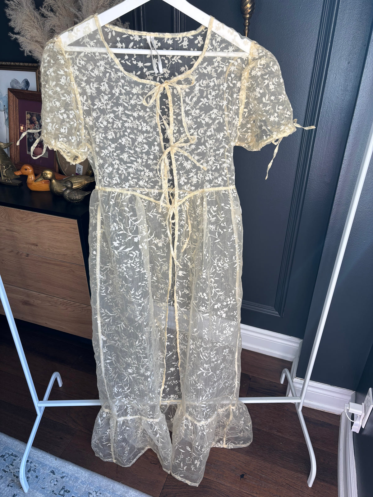 Sheer Anthropology Tie Front Dress Size XXS