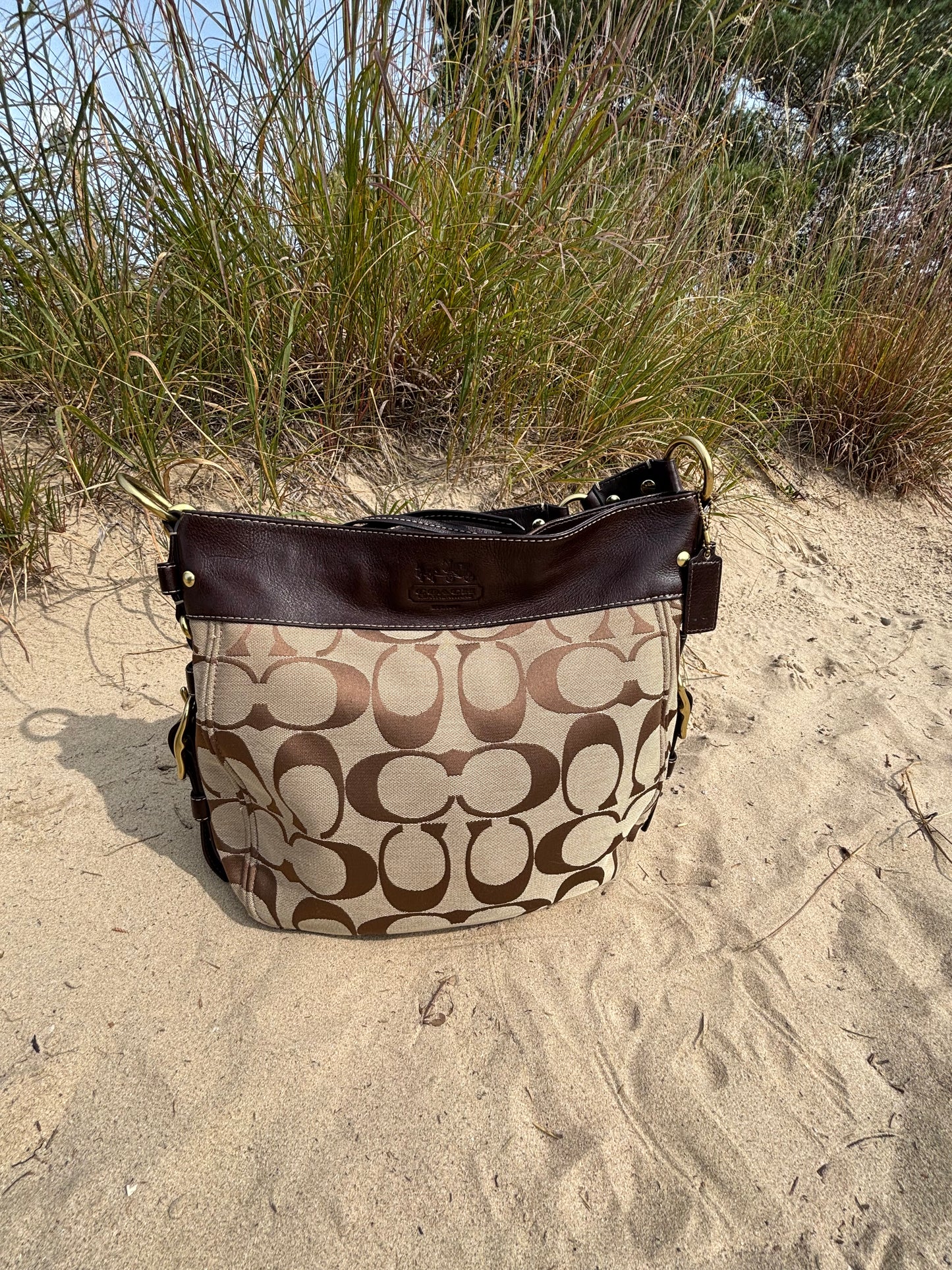 Coach Zoe Signature Large Hobo Bag